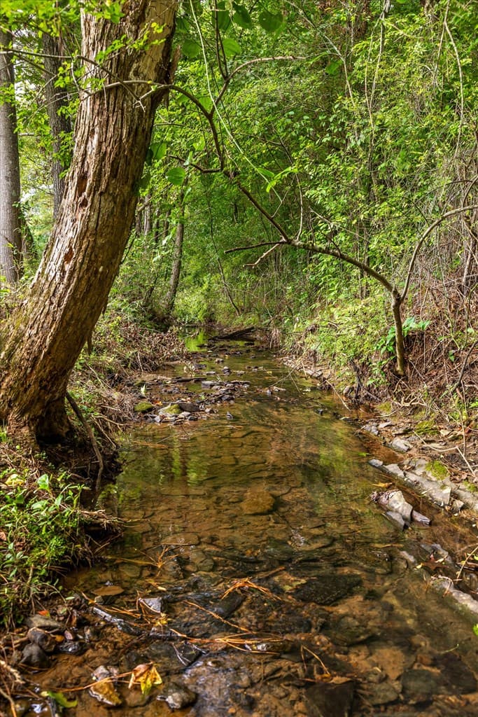 0 Hwy 411n, Chatsworth GA 30708 - Photo