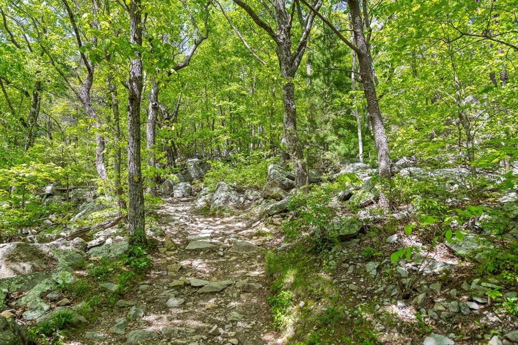 0 Hwy 411n, Chatsworth GA 30708 - Photo