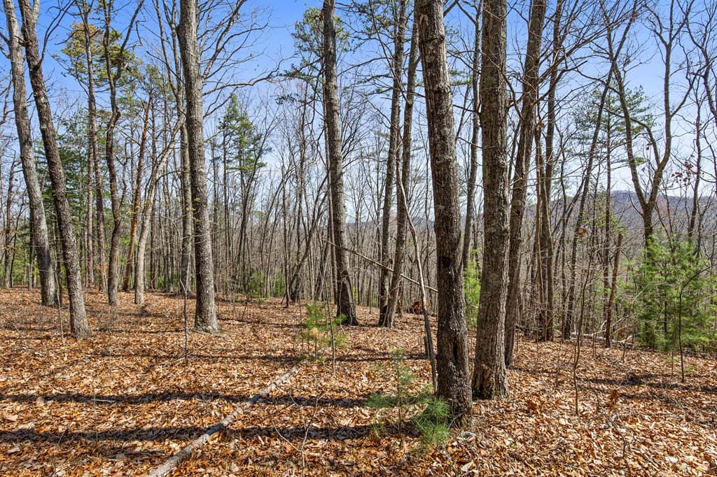 40B Synacia Road, Mineral Bluff GA 30559 - Photo