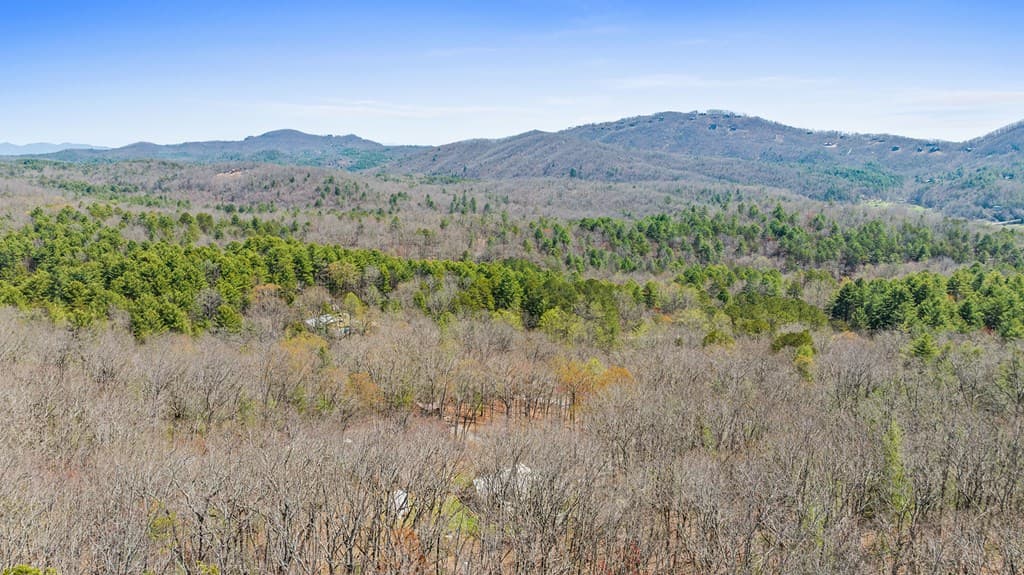 40B Synacia Road, Mineral Bluff GA 30559 - Photo