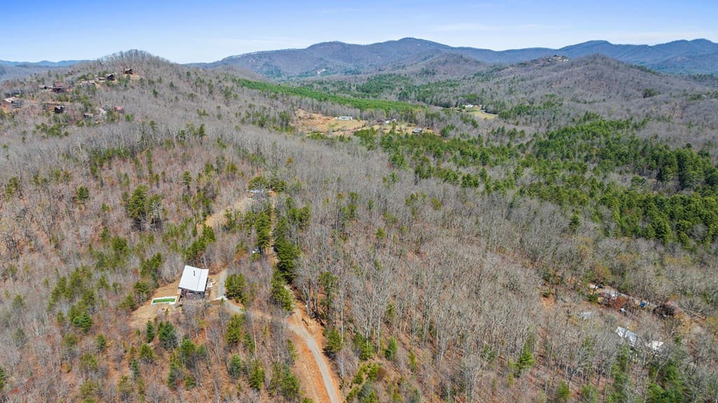 40B Synacia Road, Mineral Bluff GA 30559 - Photo