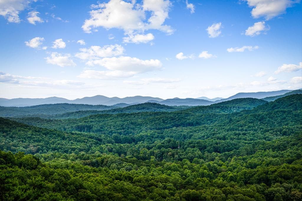 463 Big Sky Trail, Epworth GA 30541 - Photo