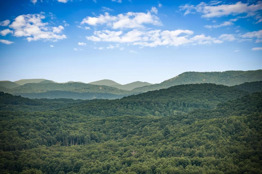 463 Big Sky Trail, Epworth GA 30541 - Photo