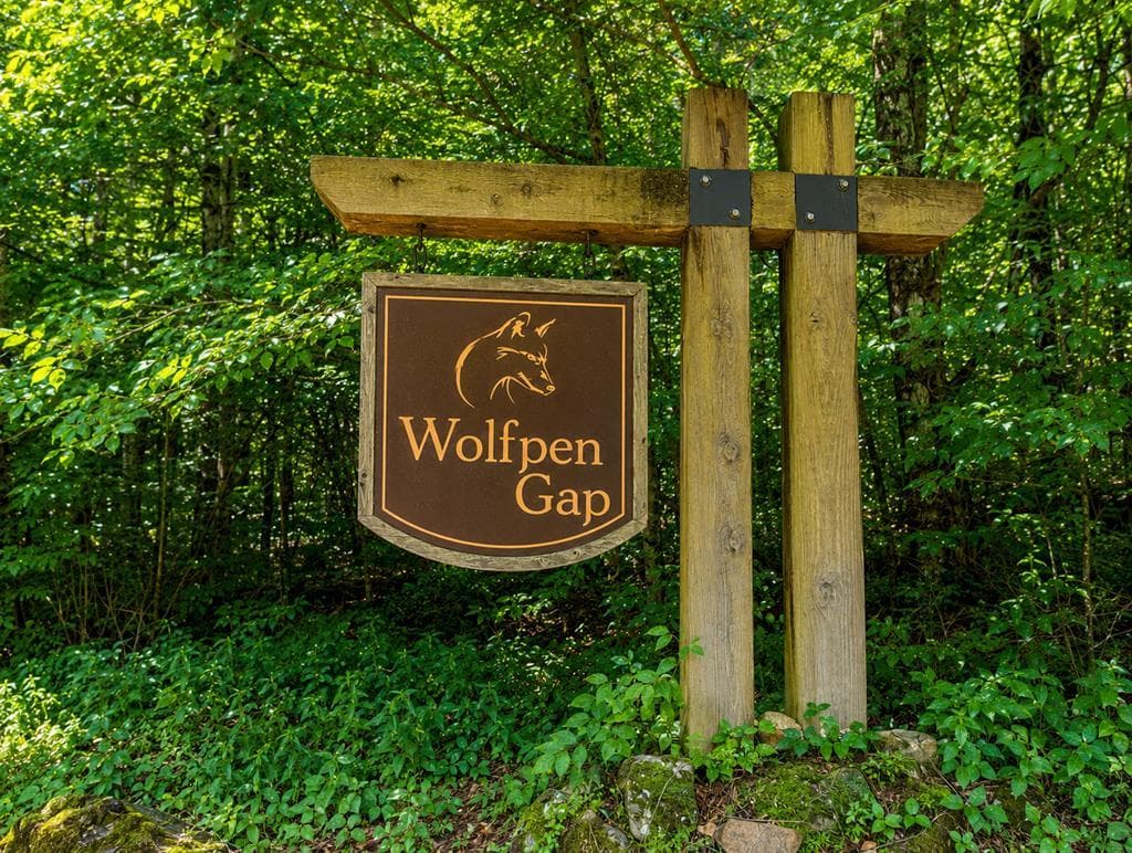 31 & 32 Wolfpen Gap Road, Hiawassee GA 30546 - Photo