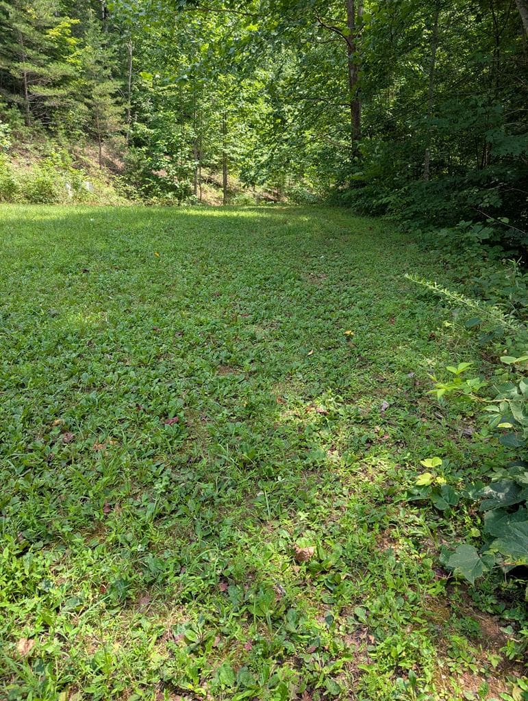 31 & 32 Wolfpen Gap Road, Hiawassee GA 30546 - Photo
