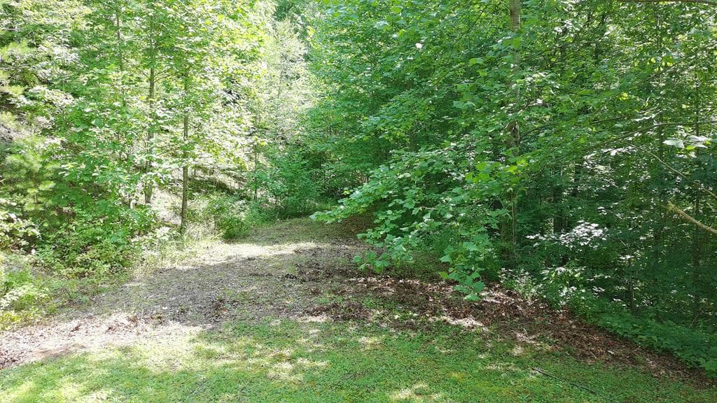 31 & 32 Wolfpen Gap Road, Hiawassee GA 30546 - Photo