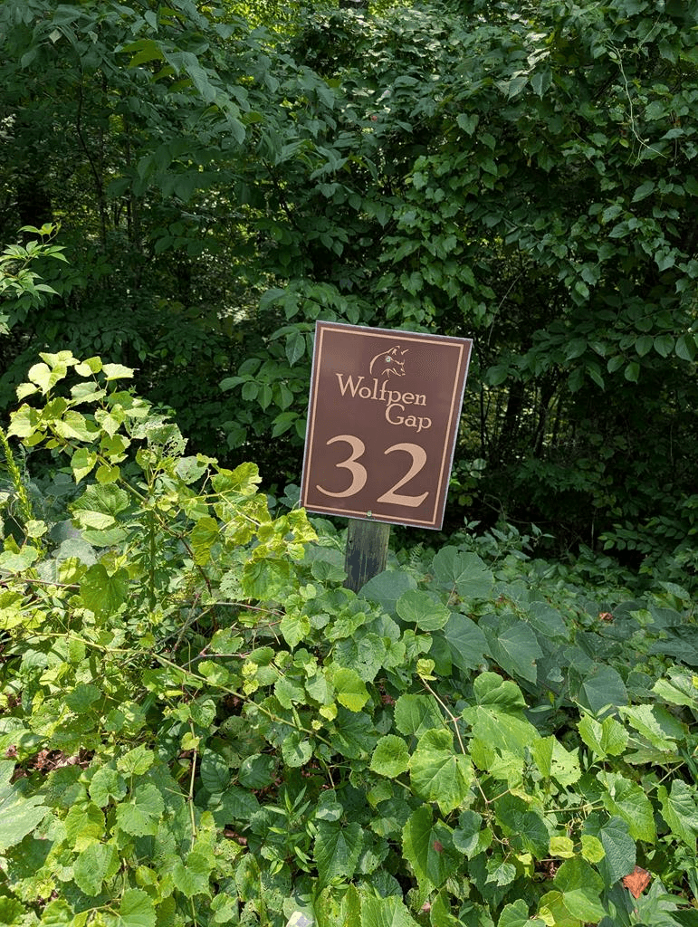 31 & 32 Wolfpen Gap Road, Hiawassee GA 30546 - Photo