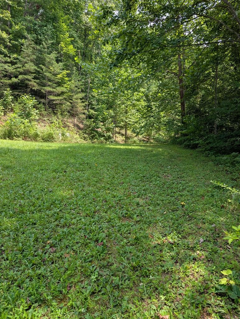 31 & 32 Wolfpen Gap Road, Hiawassee GA 30546 - Photo