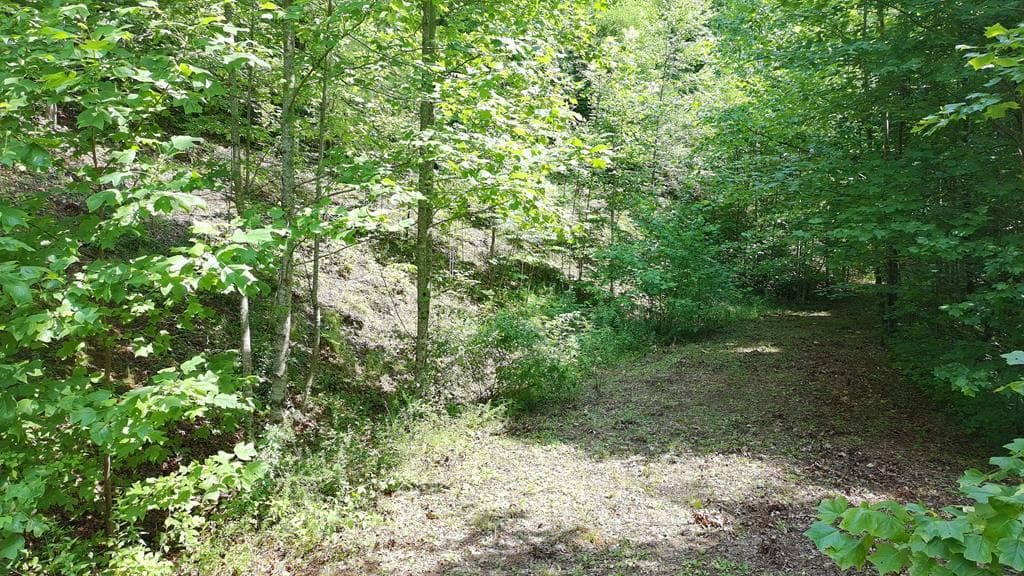 31 & 32 Wolfpen Gap Road, Hiawassee GA 30546 - Photo