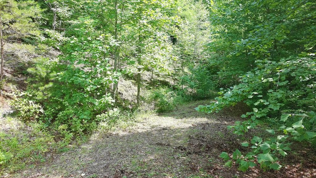 31 & 32 Wolfpen Gap Road, Hiawassee GA 30546 - Photo
