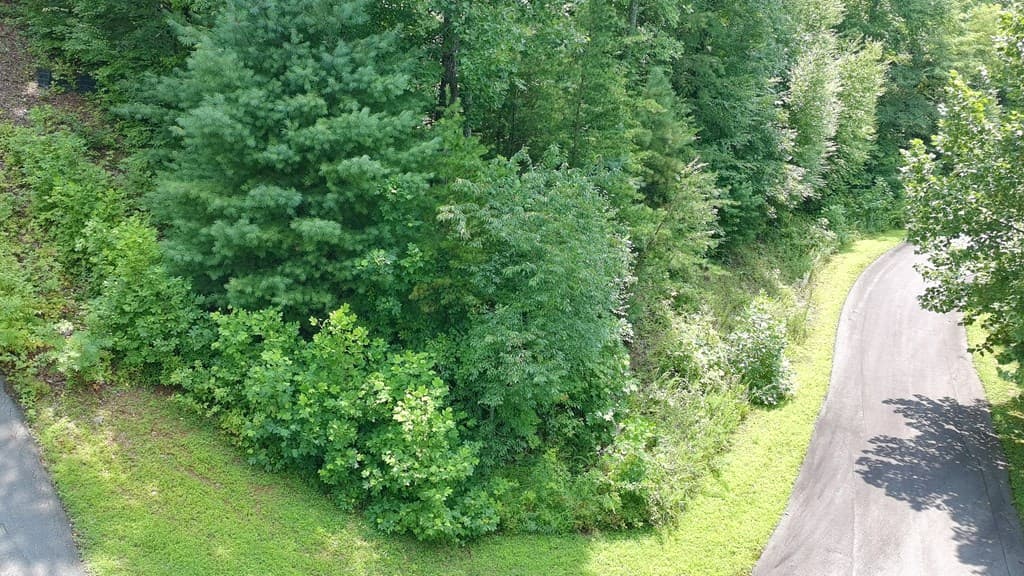 31 & 32 Wolfpen Gap Road, Hiawassee GA 30546 - Photo