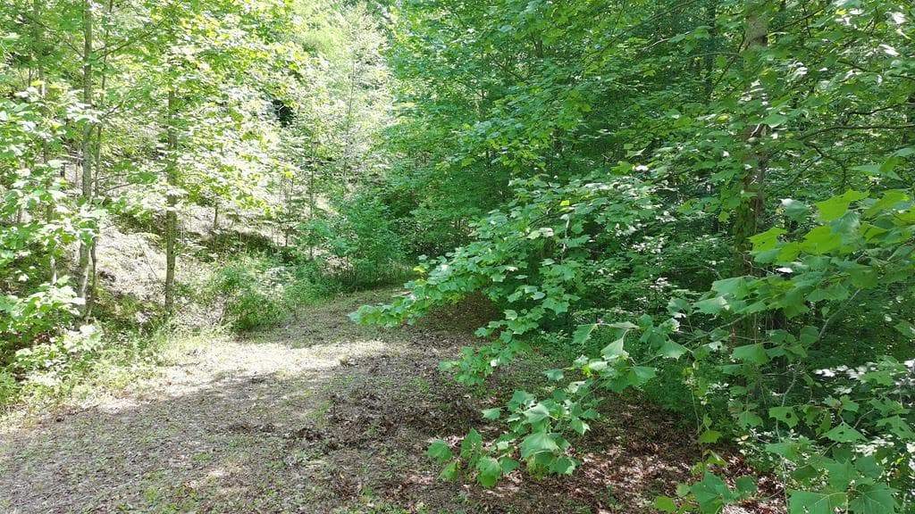 31 & 32 Wolfpen Gap Road, Hiawassee GA 30546 - Photo
