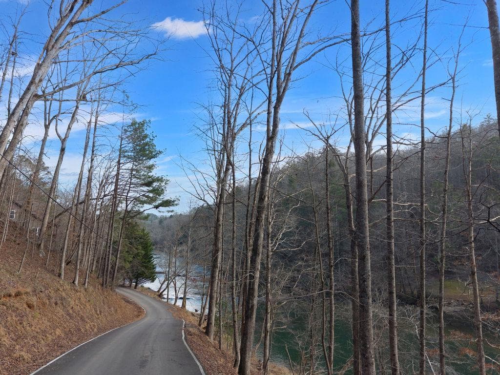 Lot 2965 Monticello Drive, Ellijay GA 30540 - Photo