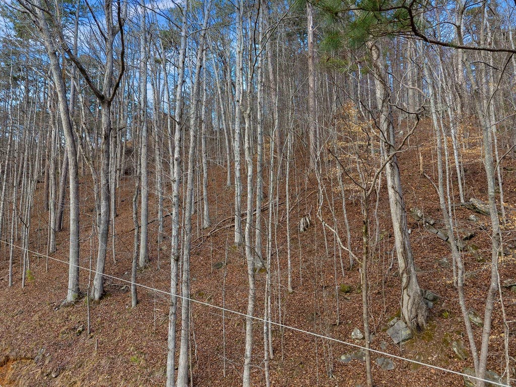 Lot 2965 Monticello Drive, Ellijay GA 30540 - Photo