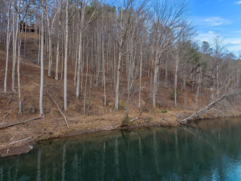 Lot 2965 Monticello Drive, Ellijay GA 30540 - Photo