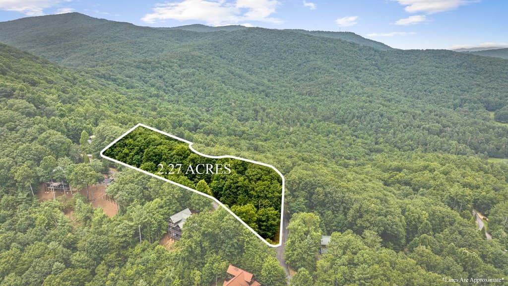 140 Bandit Lane, Blue Ridge GA 30513 - Photo