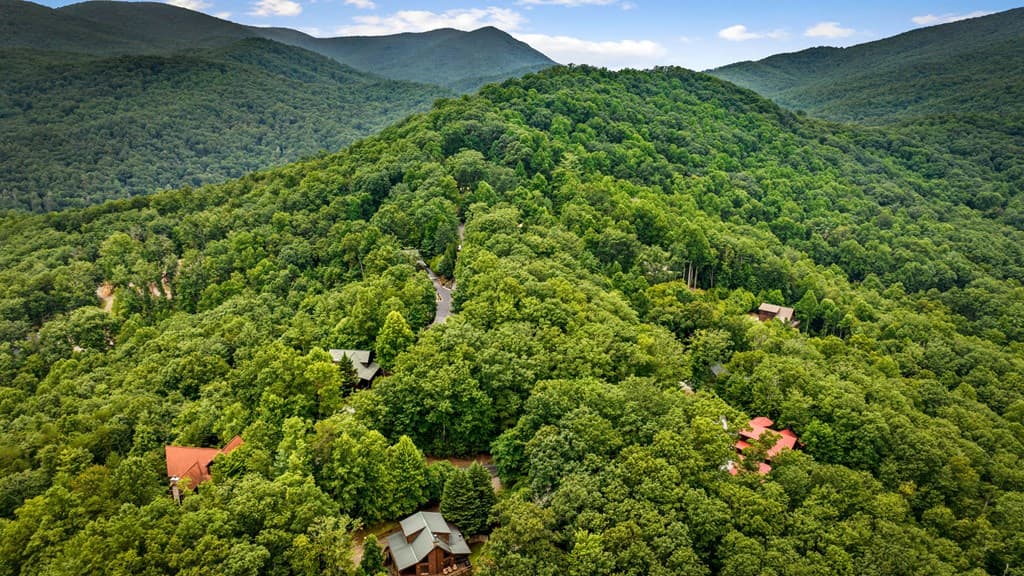 140 Bandit Lane, Blue Ridge GA 30513 - Photo
