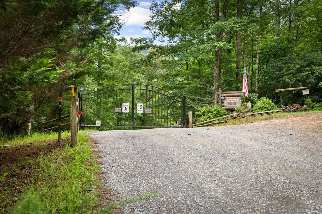 140 Bandit Lane, Blue Ridge GA 30513 - Photo