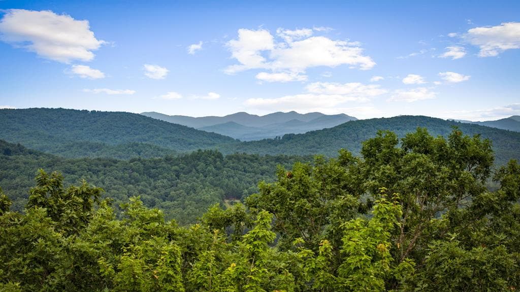 140 Bandit Lane, Blue Ridge GA 30513 - Primary photo