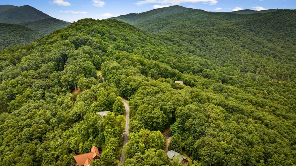 140 Bandit Lane, Blue Ridge GA 30513 - Photo