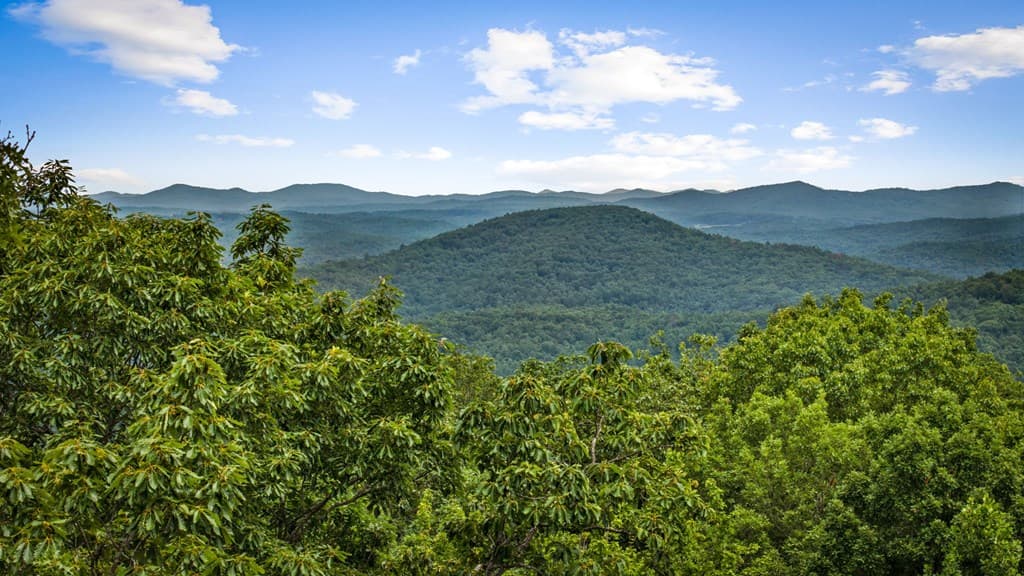 140 Bandit Lane, Blue Ridge GA 30513 - Photo