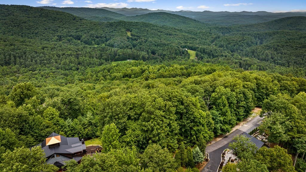 140 Bandit Lane, Blue Ridge GA 30513 - Photo