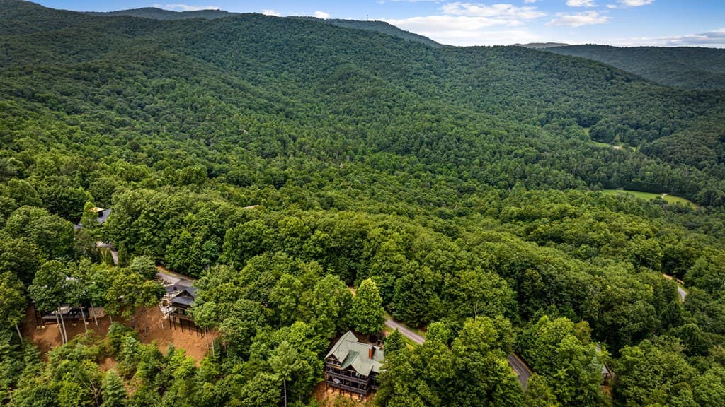 140 Bandit Lane, Blue Ridge GA 30513 - Photo