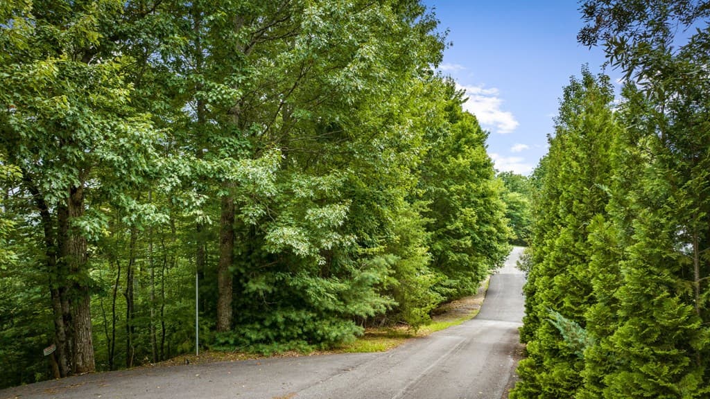 140 Bandit Lane, Blue Ridge GA 30513 - Photo