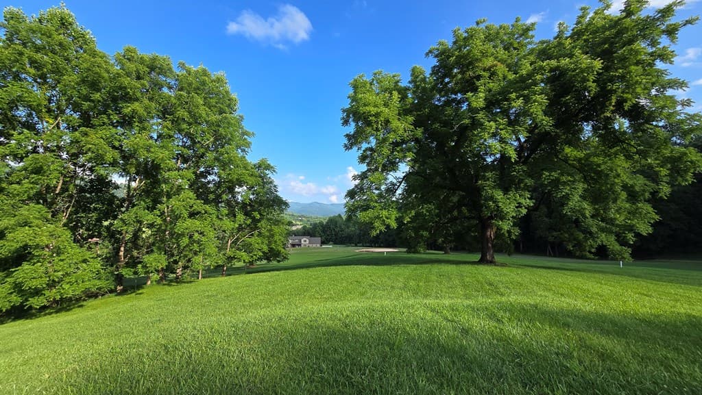 Lot 17C Ash Branch Court, Hayesville NC 28904 - Photo