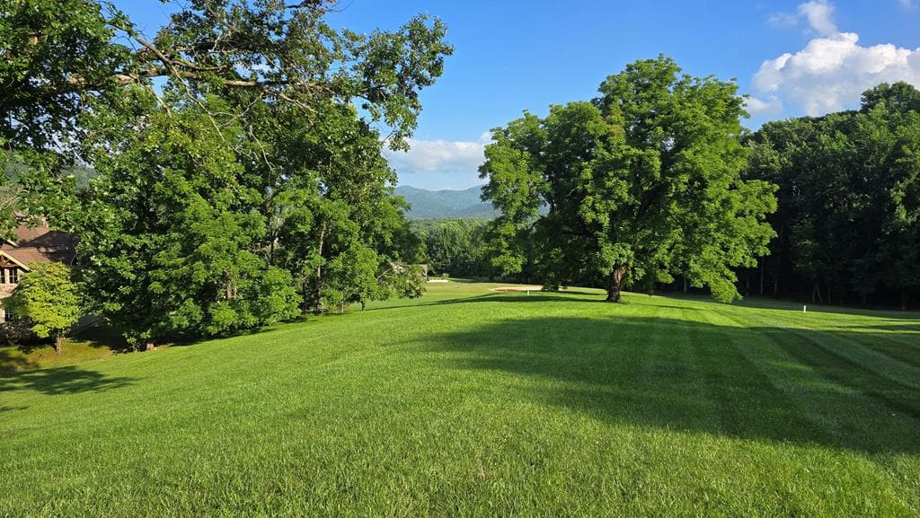 Lot 17C Ash Branch Court, Hayesville NC 28904 - Primary photo