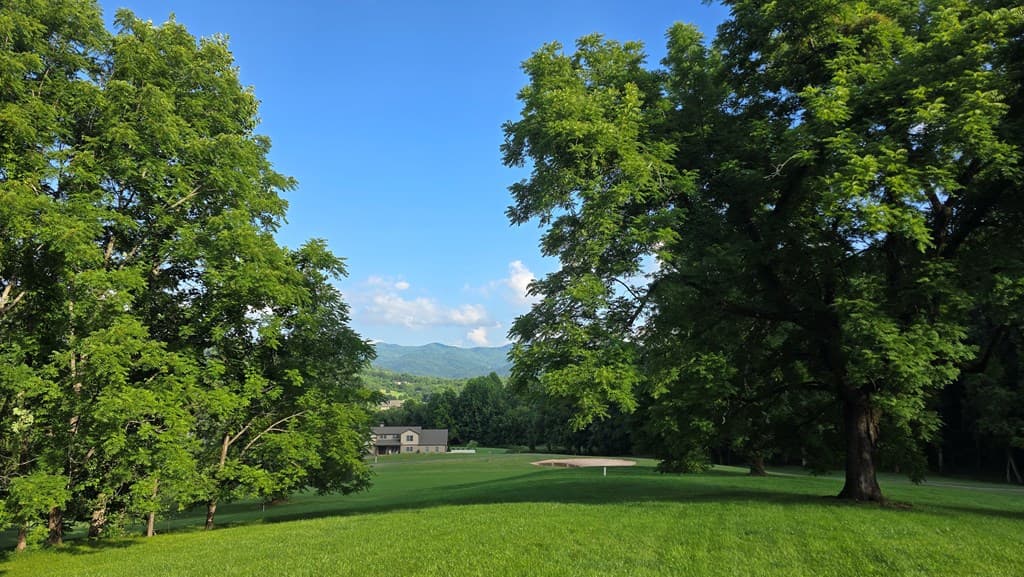 Lot 17C Ash Branch Court, Hayesville NC 28904 - Photo