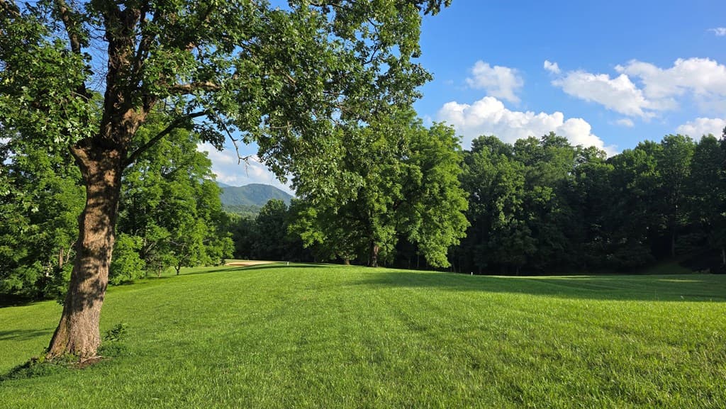 Lot 17C Ash Branch Court, Hayesville NC 28904 - Photo