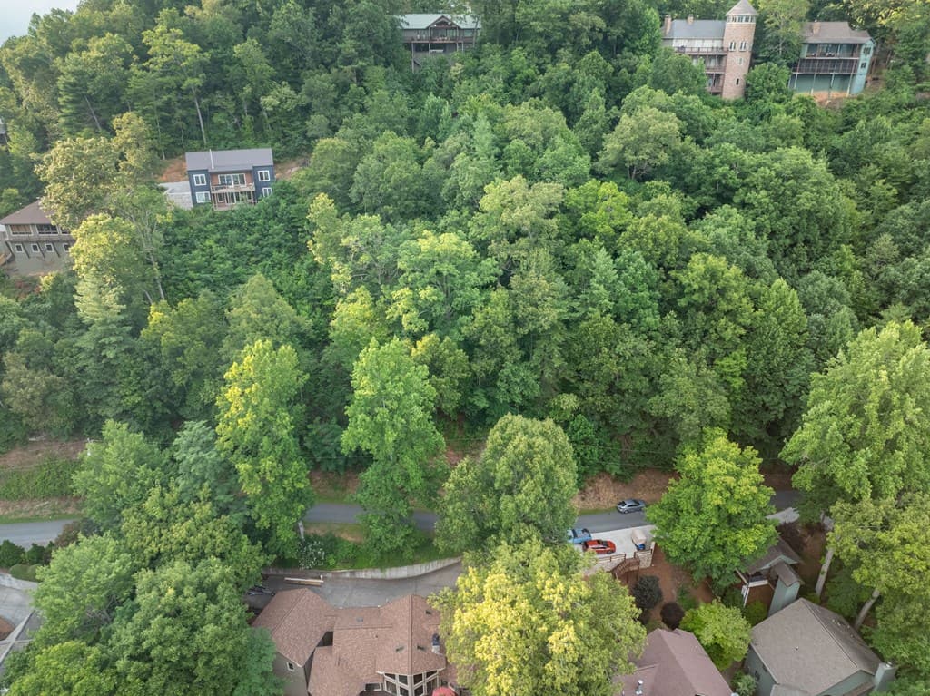 Lot 61 Cherokee Trail, Robbinsville NC 28771 - Photo