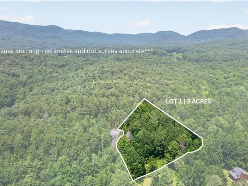 10.66 AC East Ridge Lane, Ellijay GA 30536 - Photo
