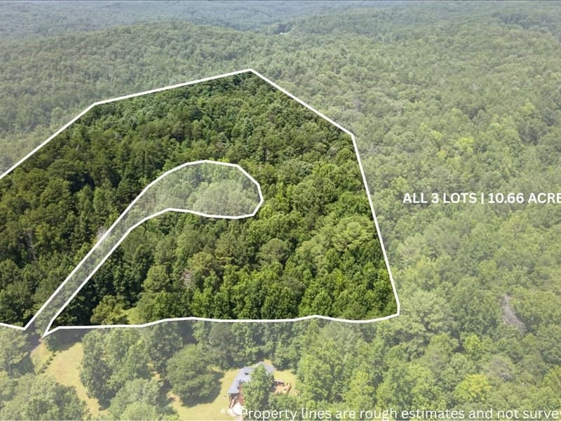 10.66 AC East Ridge Lane, Ellijay GA 30536 - Photo