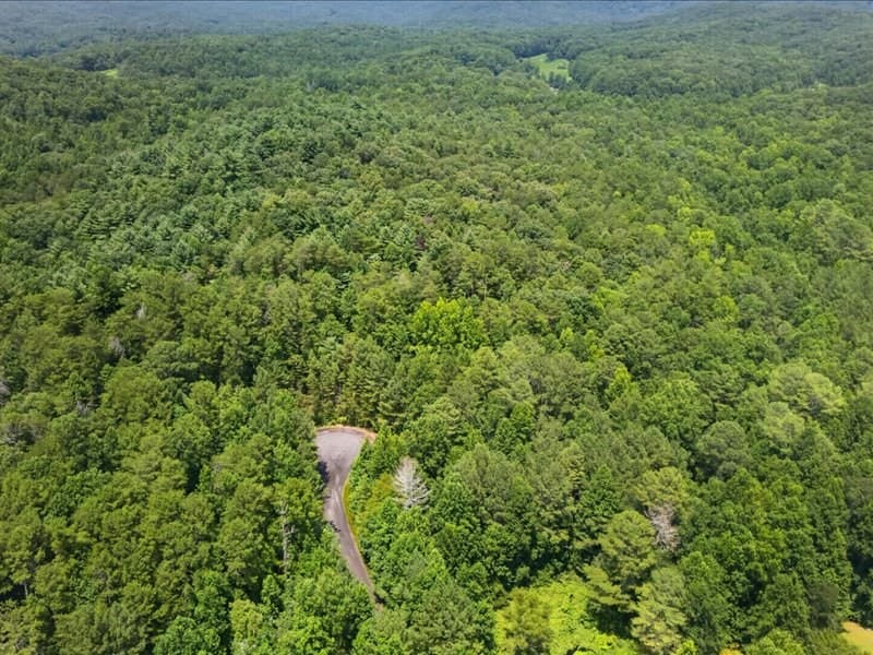 10.66 AC East Ridge Lane, Ellijay GA 30536 - Photo