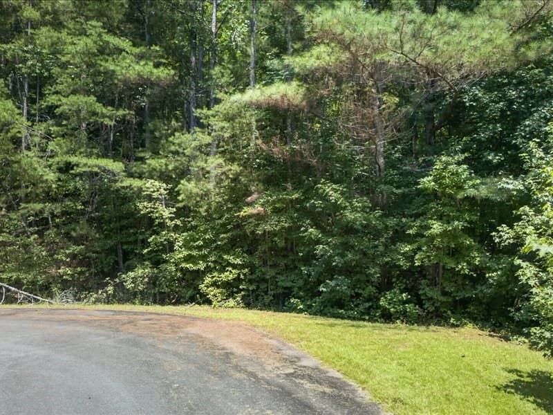 10.66 AC East Ridge Lane, Ellijay GA 30536 - Photo