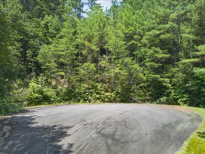10.66 AC East Ridge Lane, Ellijay GA 30536 - Photo