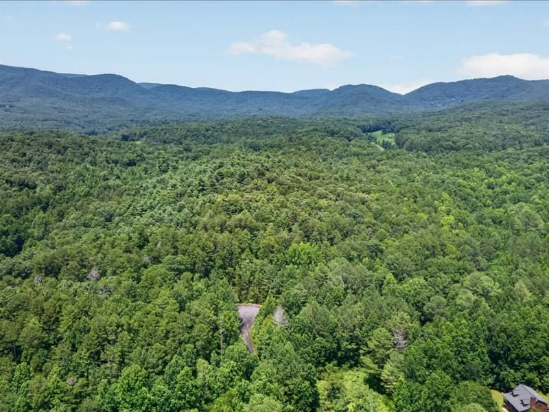 10.66 AC East Ridge Lane, Ellijay GA 30536 - Photo