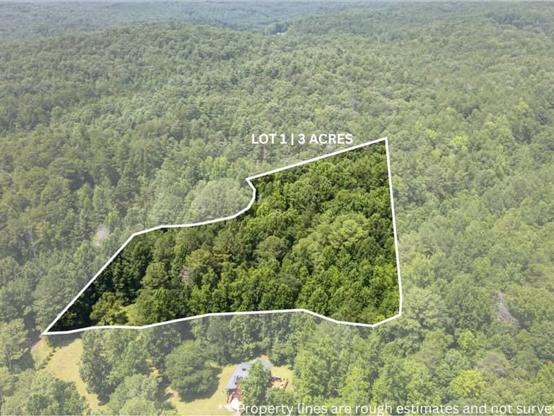10.66 AC East Ridge Lane, Ellijay GA 30536 - Photo