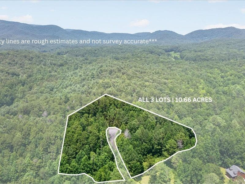 10.66 AC East Ridge Lane, Ellijay GA 30536 - Primary photo