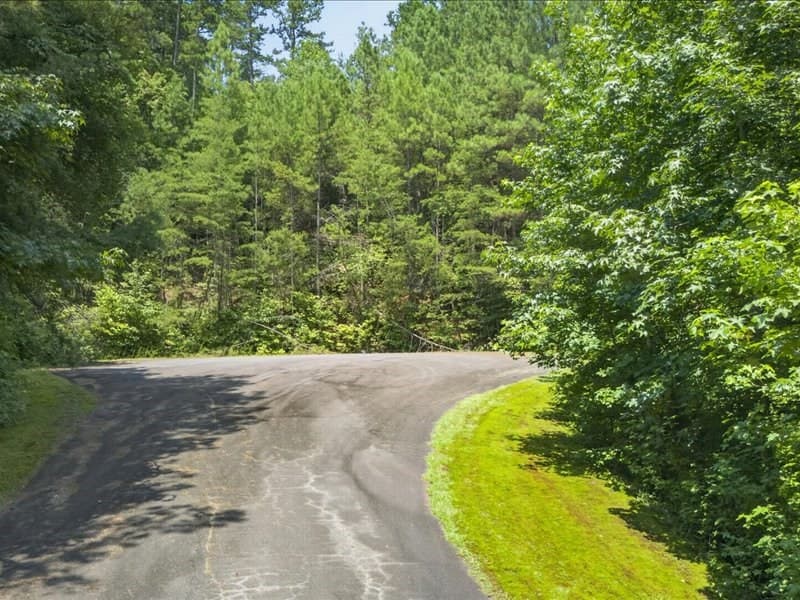 10.66 AC East Ridge Lane, Ellijay GA 30536 - Photo
