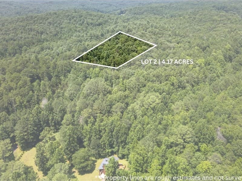 10.66 AC East Ridge Lane, Ellijay GA 30536 - Photo