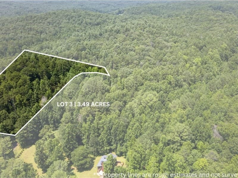 10.66 AC East Ridge Lane, Ellijay GA 30536 - Photo