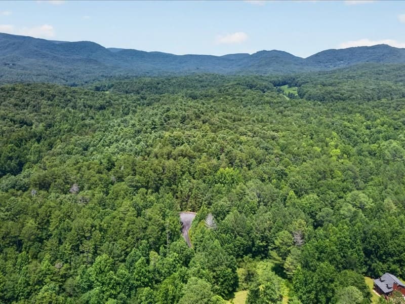 10.66 AC East Ridge Lane, Ellijay GA 30536 - Photo