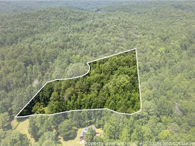 10.66 AC East Ridge Lane, Ellijay GA 30536 - Photo