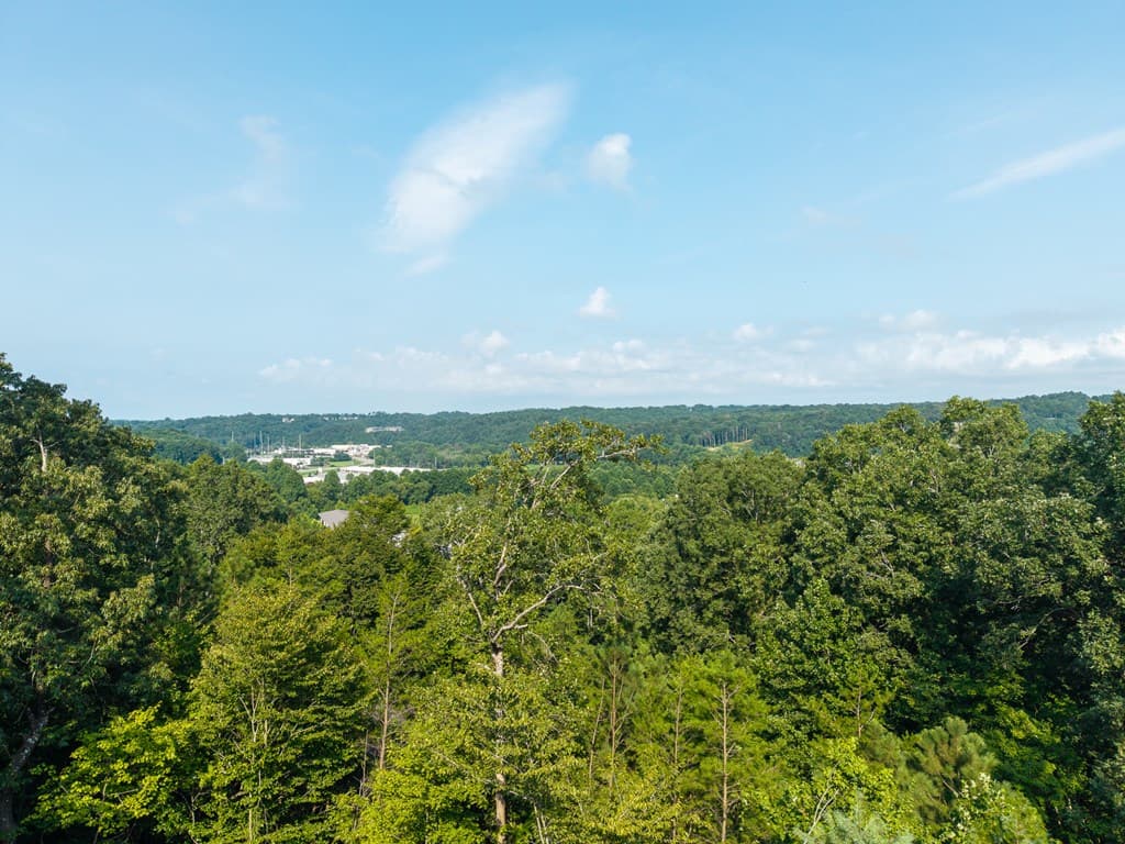 313 Jeff Drive, Ellijay GA 30540 - Photo