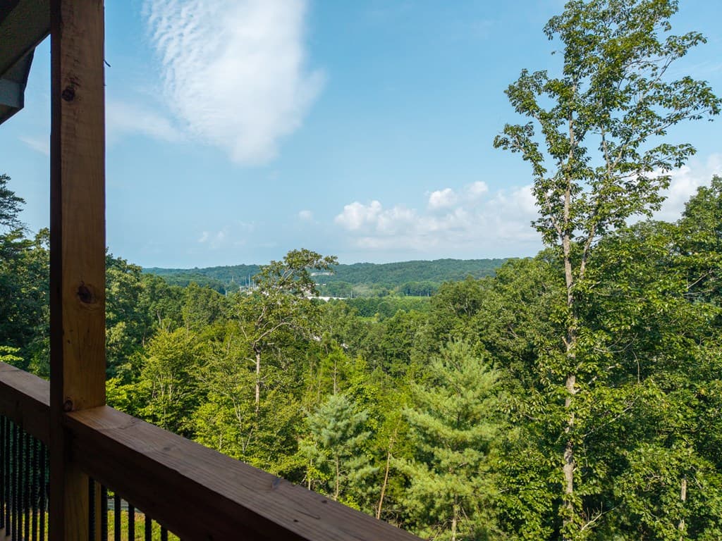 313 Jeff Drive, Ellijay GA 30540 - Photo