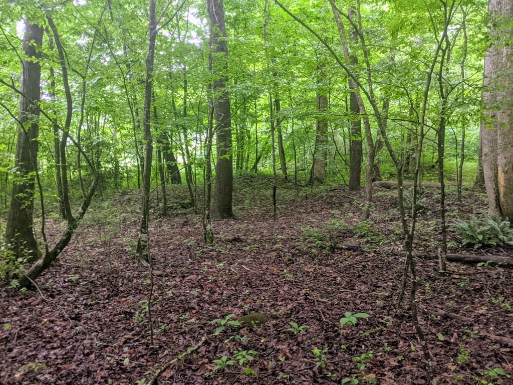 604 Possum Poke Road, Ellijay GA 30536 - Photo