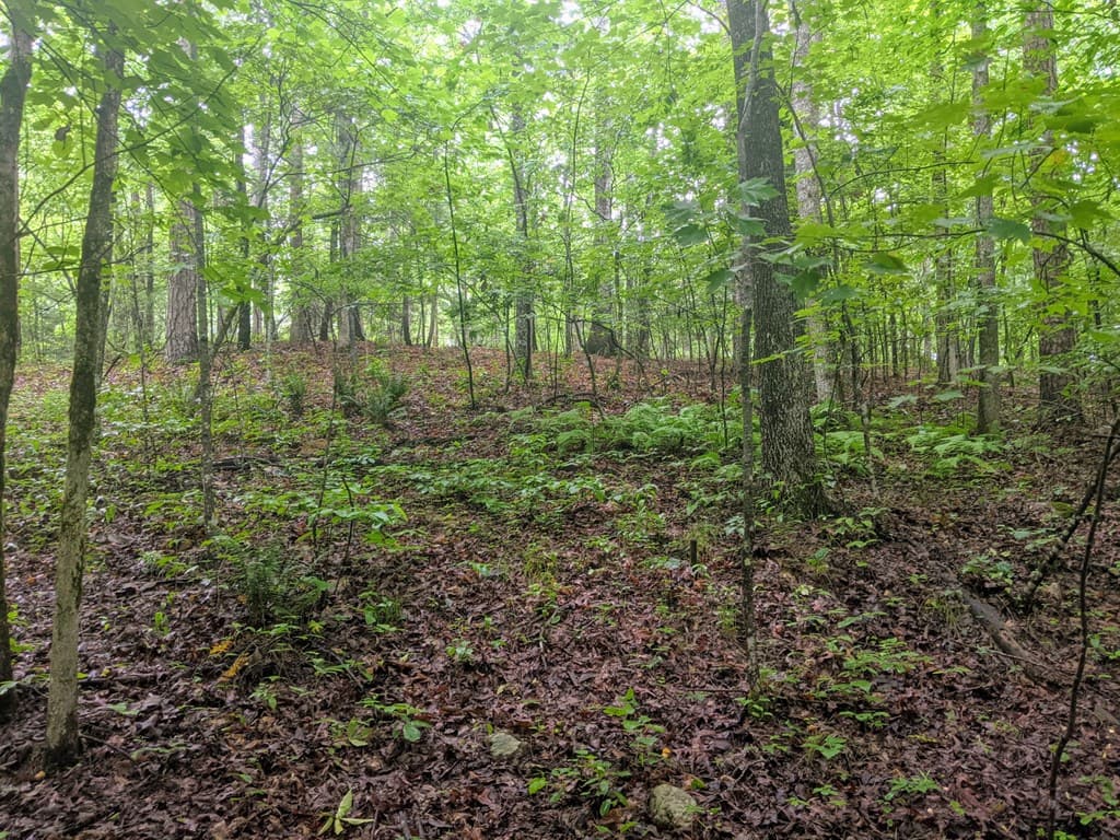 604 Possum Poke Road, Ellijay GA 30536 - Photo